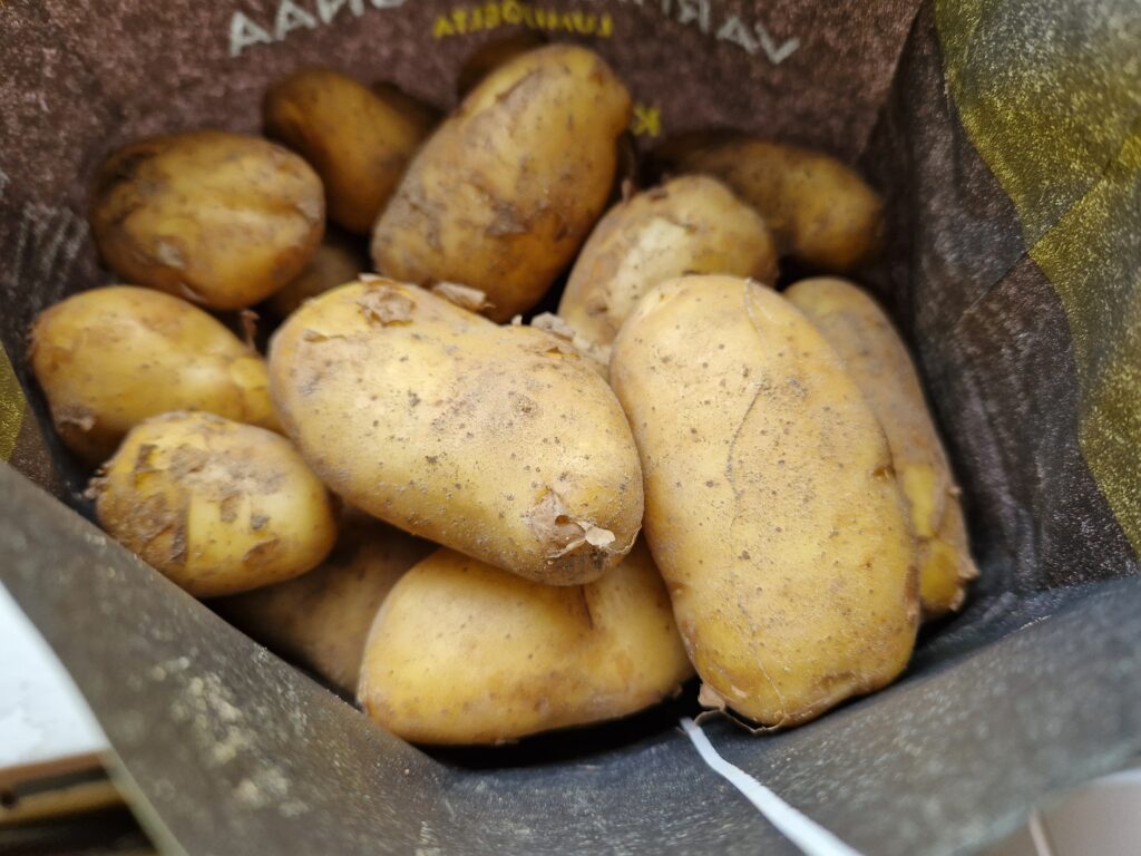 pussillinen perunoita torilta